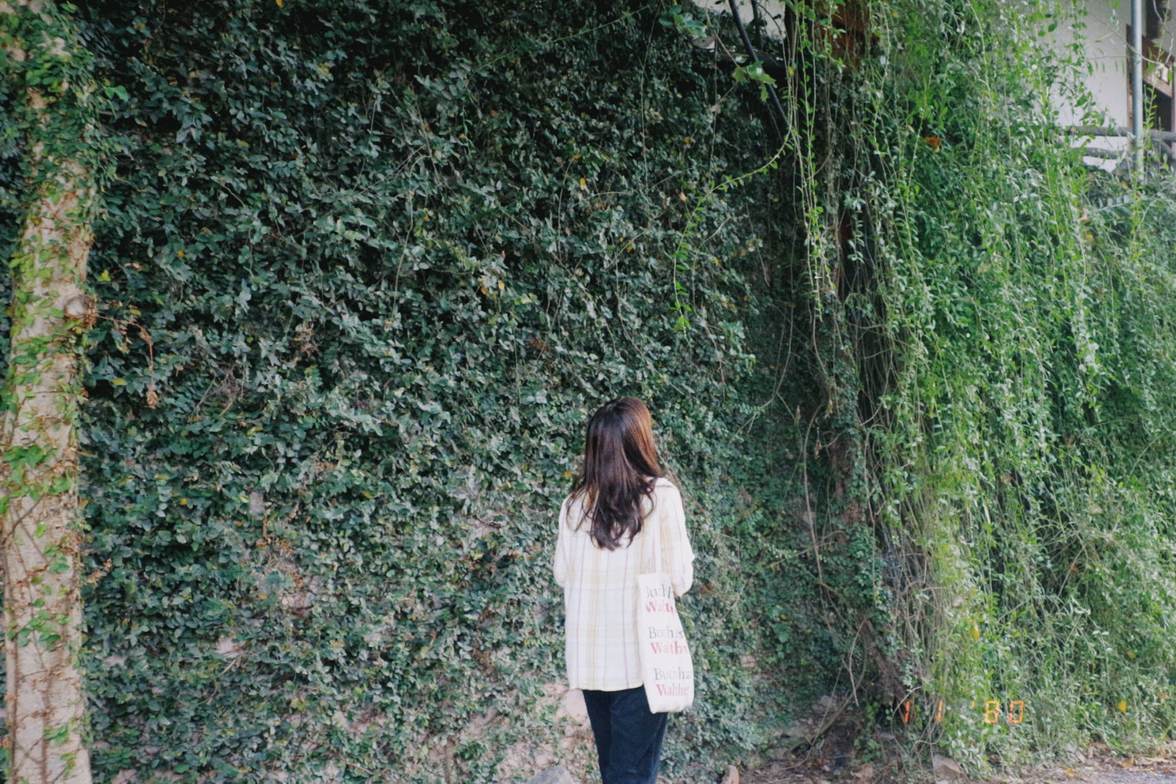 Image gallery marquee